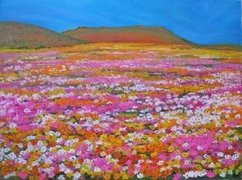 "Namaqualand landscape 2"