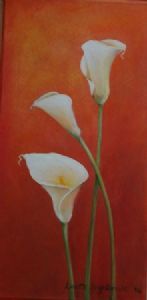 "Arum lillies 2"