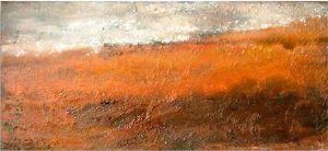 "corrosion field"