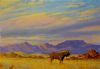 "Lonely Bull - Black Wildebeest"