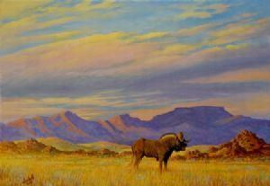 "Lonely Bull - Black Wildebeest"