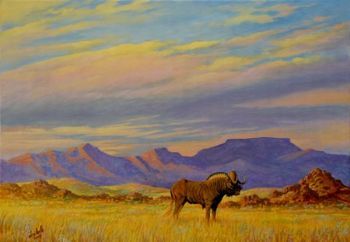 "Lonely Bull - Black Wildebeest"