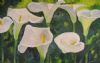 "White lilies"