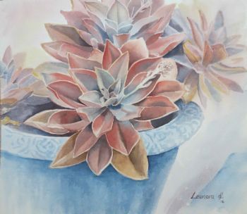 "Desert Roses in a Blue pot"