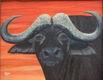 "African Buffalo"