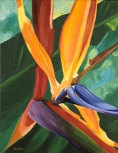 "Strelitzia 1"