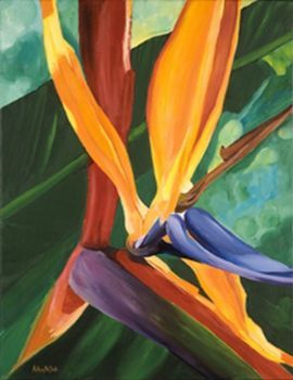 "Strelitzia 1"