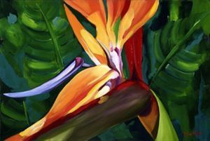 "Strelitzia 2"