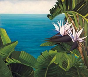 "Indian Ocean Views"