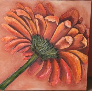 "Gerbera"