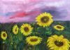 "Sunflowers in a Meadow"