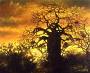 "Baobab Sunset"