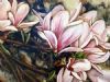 "Pink Magnolia"