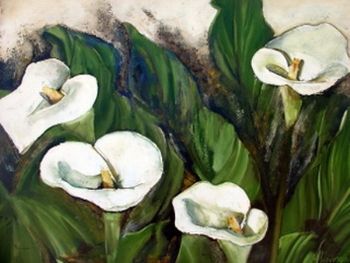 "Arum Lilies"