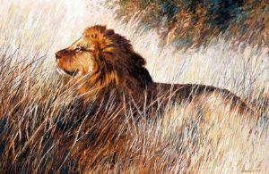 "The Morning After - lion"