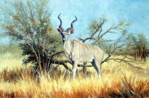 "In Charge - Kudu"