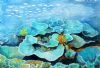"Life Underwater"