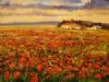 "Field of daisies"