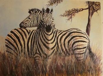 "Zebras Playing"