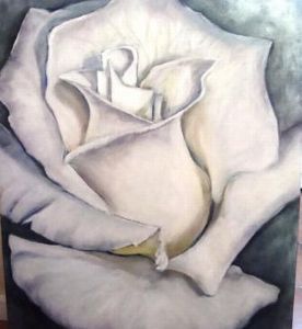 "White Rose on Silver"