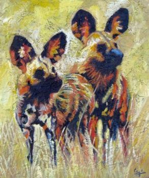 "WilddogS"