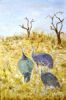 "Guineafowl"