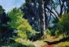 "Forest Path"