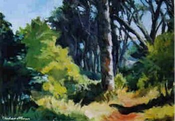 "Forest Path"