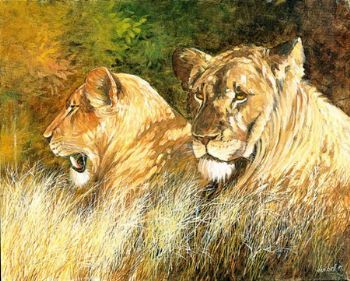 "Young Partners - Lions"
