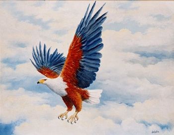 "Eagle Swooping - Fish Eagle"