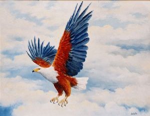 "Eagle Swooping - Fish Eagle"