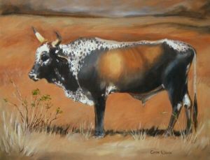 "Nguni 9"