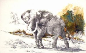 "Elephant Challenge"