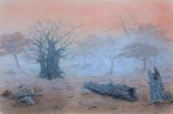 "Baobab in the Mist"