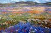 "Namaqualand"