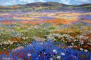 "Namaqualand"