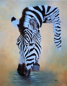 "Zebra Drinking"