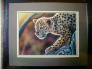 "Leopard cub"
