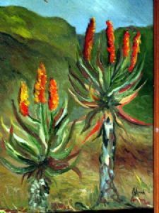 "Aloes"