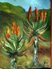 "Aloes"