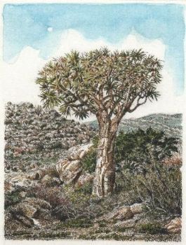 "Quiver Tree "