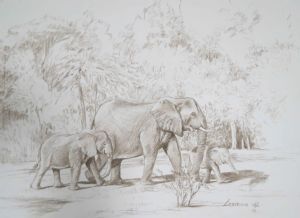 "Elephant Family"