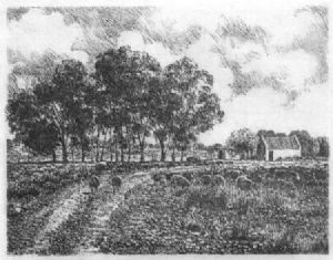 "Landscape with Sheep"