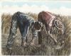 "Mowers-Maaiers"