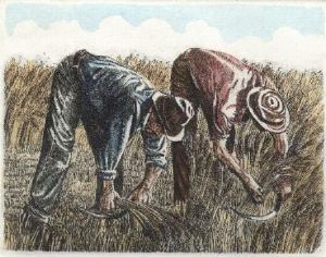 "Mowers-Maaiers"