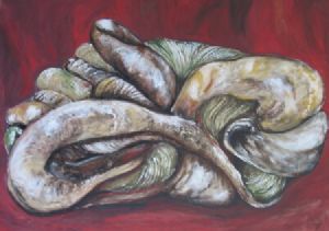 "Shells in Transformation One"