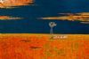 "Karoo Sunset"