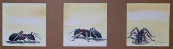 "Ants Trio"
