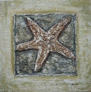 "Star Sea Shell"