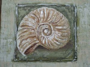 "Sea Shell"